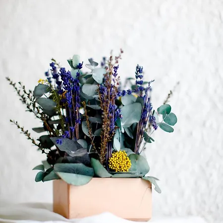 Hotel Mare Vista - Epaminondas 3*